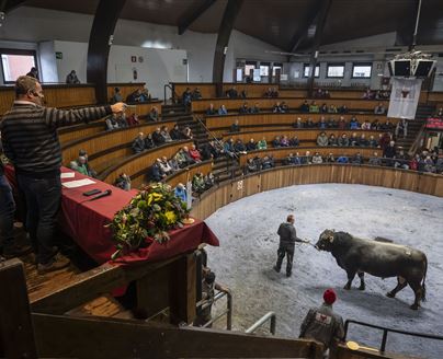Landwirtschaftlicher Tagelöhner gesucht! Landwirtschaftlicher Tagelöhner gesucht!