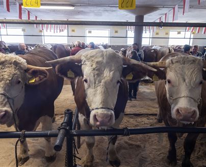 Mitarbeiter/in in Vollzeit gesucht!